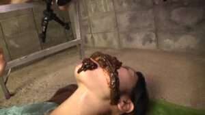 Free Scat Porn