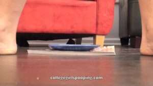 Free Scat Porn