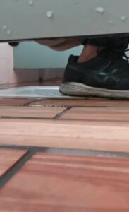Free Scat Porn