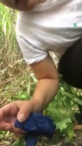 Free Scat Porn
