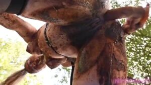 Free Scat Porn