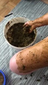 Free Scat Porn
