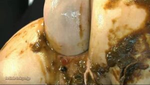 Free Scat Porn