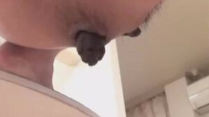 Free Scat Porn