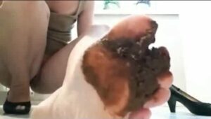 Free Scat Porn