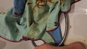 Free Scat Porn