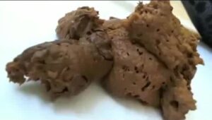 Free Scat Porn