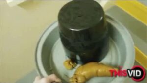 Free Scat Porn