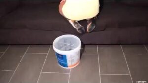 Free Scat Porn