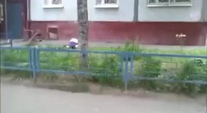 Free Scat Porn