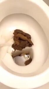Free Scat Porn