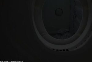 Free Scat Porn