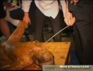 Free Scat Porn