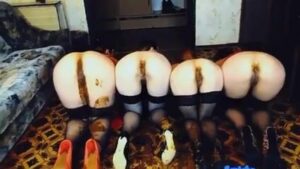 Free Scat Porn