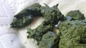 Free Scat Porn