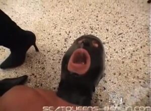 Free Scat Porn