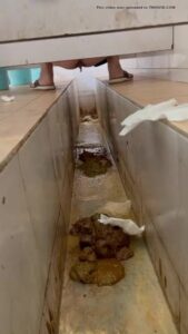 Free Scat Porn