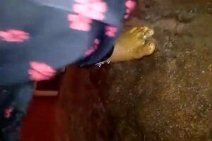 Free Scat Porn
