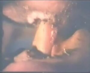 Free Scat Porn